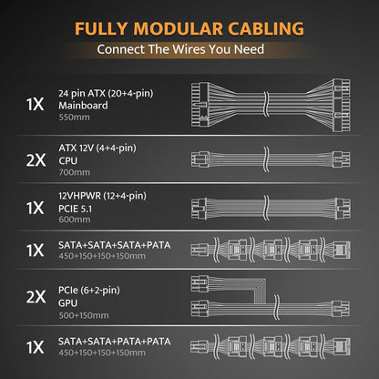 PMT1250 Gold Fully Modular Power Supply